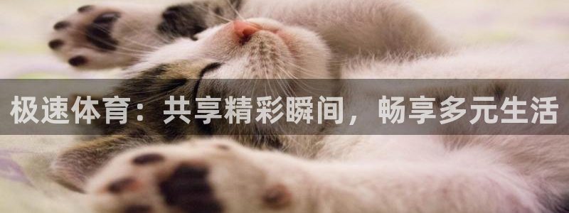 极速体育：共享精彩瞬间，畅享多元生活