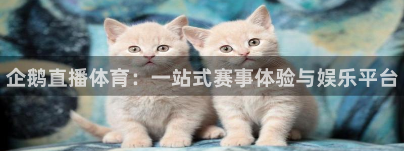 企鹅直播体育：一站式赛事体验与娱乐平台