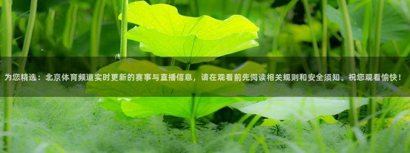 为您精选：北京体育频道实时更新的赛事与直播信息，请在观看前先阅读相关规则和安全须知。祝您观看愉快！