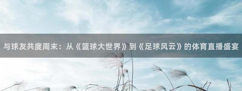 与球友共度周末：从《篮球大世界》到《足球风云》的体育直播盛宴