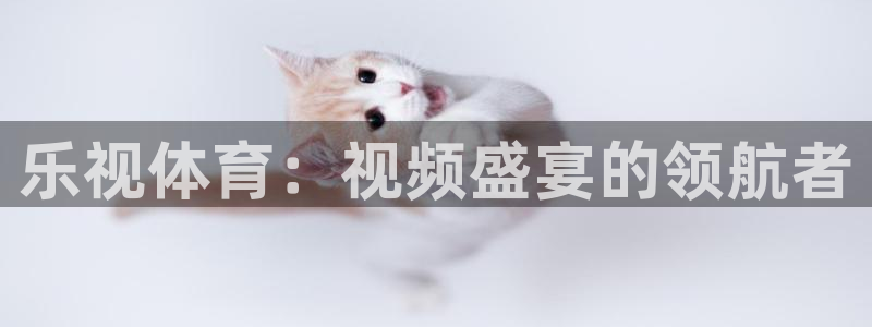 乐视体育：视频盛宴的领航者