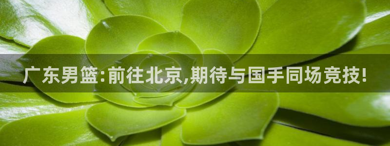 广东男篮:前往北京,期待与国手同场竞技!