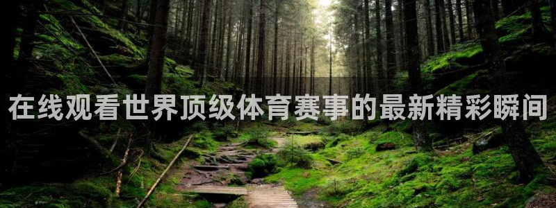 在线观看世界顶级体育赛事的最新精彩瞬间