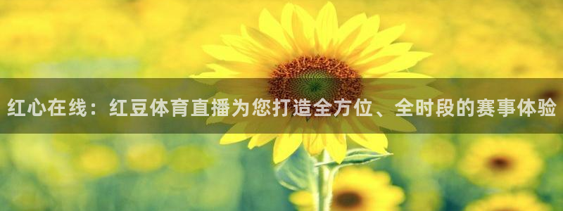 红心在线：红豆体育直播为您打造全方位、全时段的赛事体验