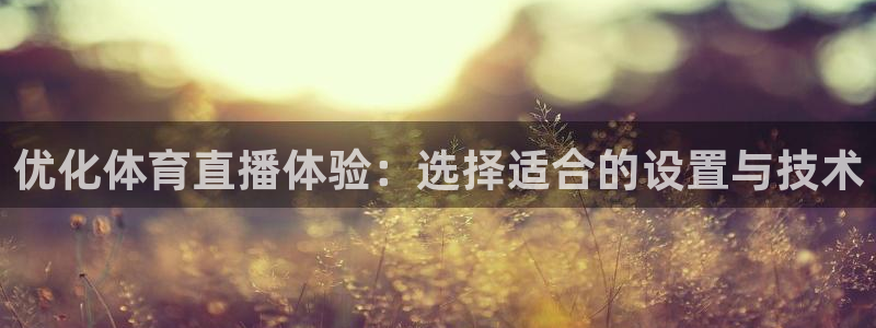 优化体育直播体验：选择适合的设置与技术