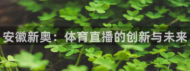 安徽新奥：体育直播的创新与未来