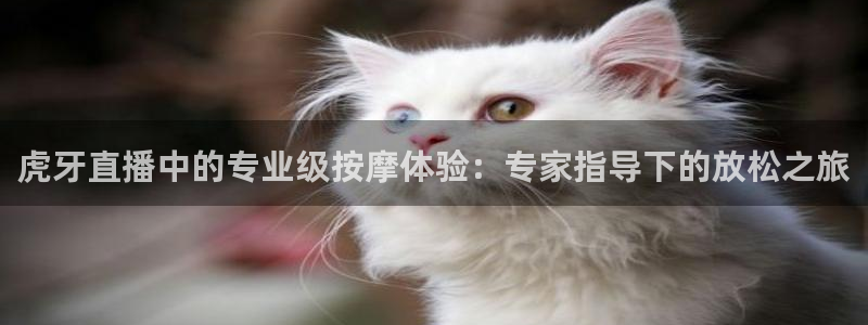 虎牙直播中的专业级按摩体验：专家指导下的放松之旅