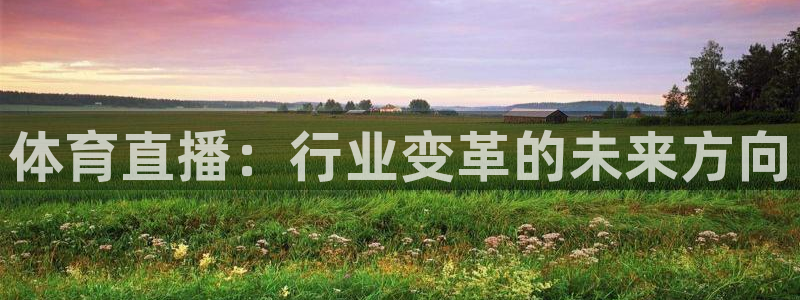 体育直播：行业变革的未来方向