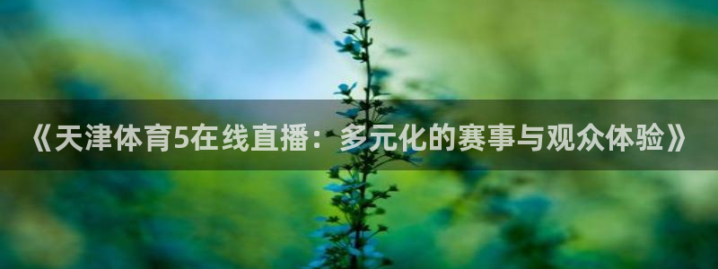《天津体育5在线直播：多元化的赛事与观众体验》