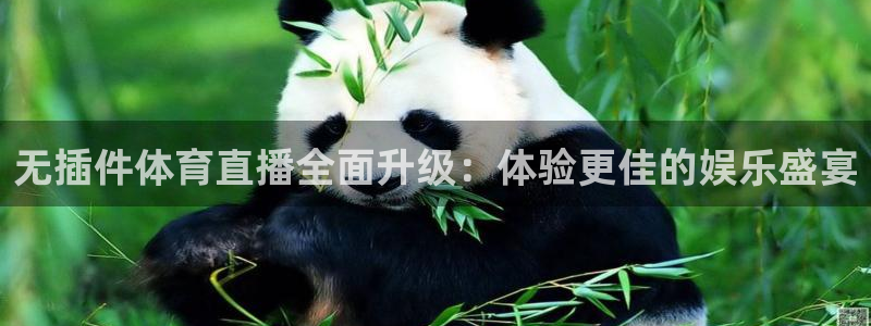无插件体育直播全面升级：体验更佳的娱乐盛宴