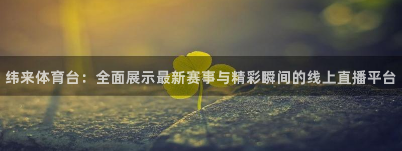 纬来体育台：全面展示最新赛事与精彩瞬间的线上直播平台