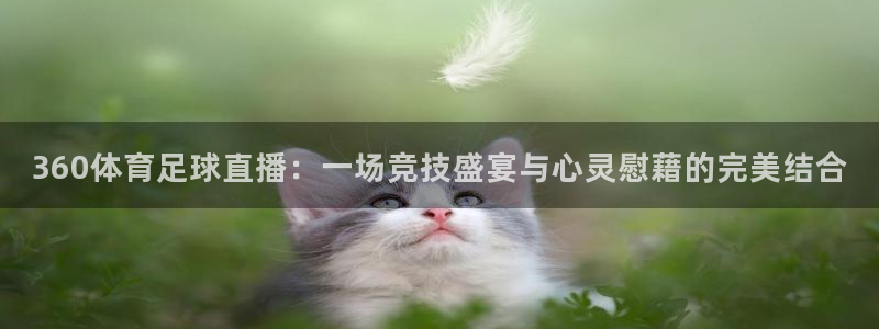 360体育足球直播：一场竞技盛宴与心灵慰藉的完美结合