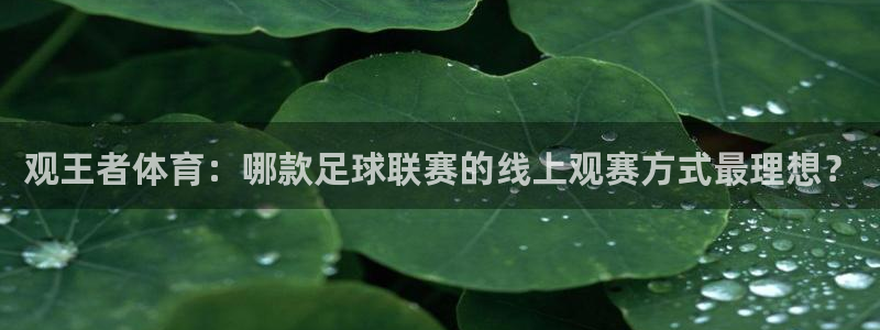 观王者体育：哪款足球联赛的线上观赛方式最理想？