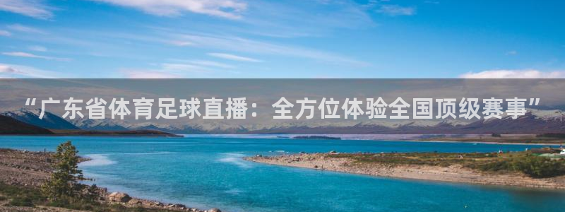 “广东省体育足球直播：全方位体验全国顶级赛事”