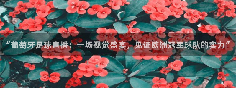 “葡萄牙足球直播：一场视觉盛宴，见证欧洲冠军球队的实力”