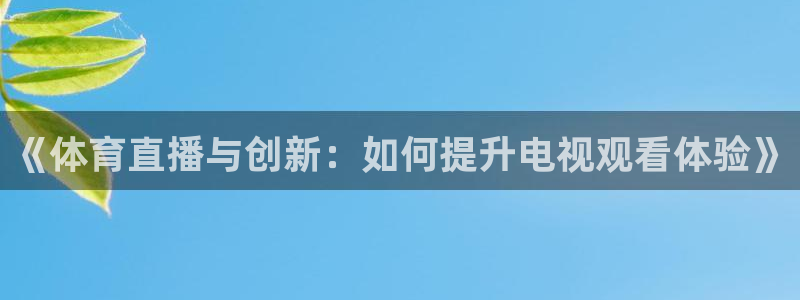 《体育直播与创新：如何提升电视观看体验》