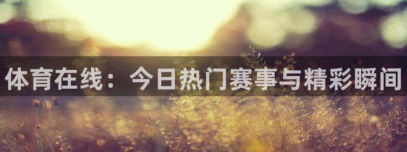 体育在线：今日热门赛事与精彩瞬间