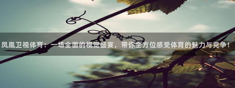 凤凰卫视体育：一场全面的视觉盛宴，带你全方位感受体育的魅力与竞争！