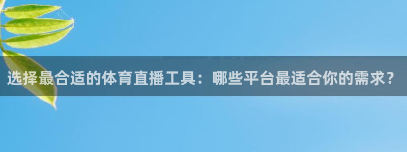 选择最合适的体育直播工具：哪些平台最适合你的需求？