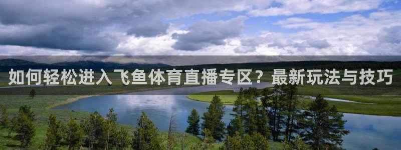 如何轻松进入飞鱼体育直播专区？最新玩法与技巧
