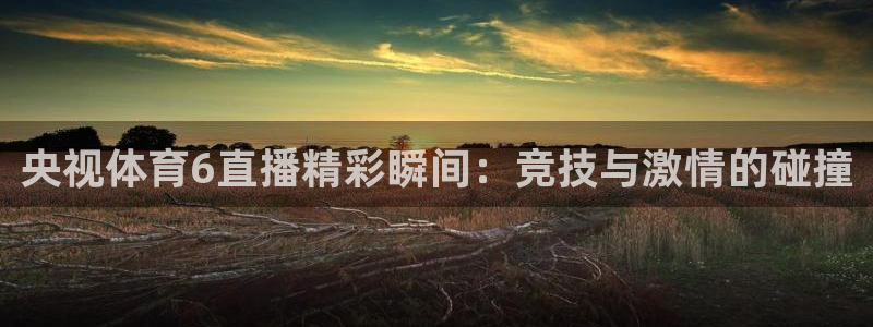 央视体育6直播精彩瞬间：竞技与激情的碰撞