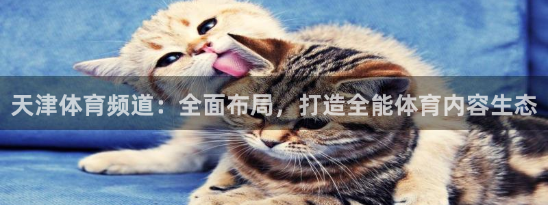 天津体育频道：全面布局，打造全能体育内容生态