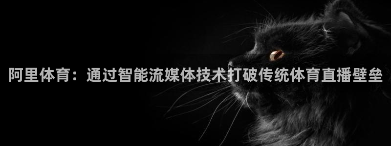 阿里体育：通过智能流媒体技术打破传统体育直播壁垒