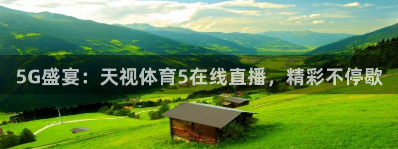 5G盛宴：天视体育5在线直播，精彩不停歇