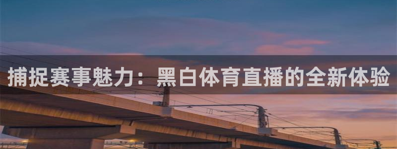 捕捉赛事魅力：黑白体育直播的全新体验