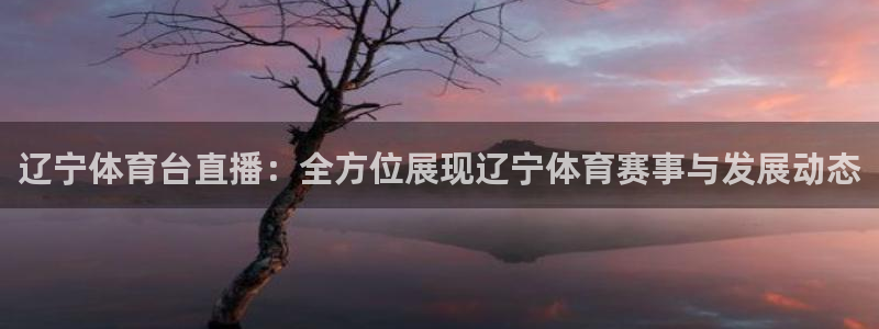 辽宁体育台直播：全方位展现辽宁体育赛事与发展动态